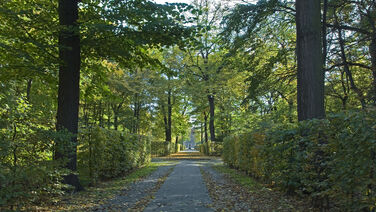 Schlosswiese