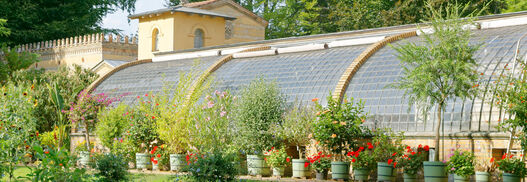 Orangerie Glienicke