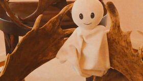 Waldemar und die Tiere