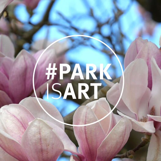 #ParkIsArt – Magnolienblüte
