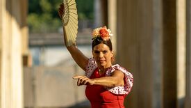 Flamenca - Laura la Risa y Compañia