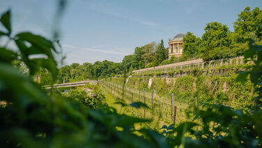 Königliches Weinfest
