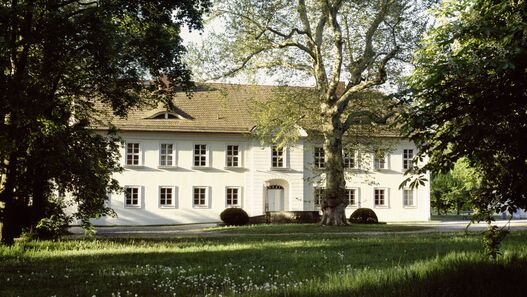 Blick über eine blühende Wiese auf das Schloss Sacrow