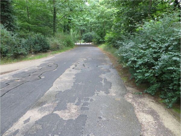 Ökonomieweg im Neuen Garten nahe Schloss Ceclienhof © SPSG