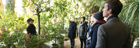 Führung: Sanssouci Pflanzen im Winterschlaf