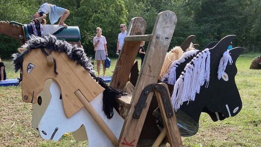 Steckenpferde © Förderverein Jagdschloss Stern-Parforceheide e.V. Steckenpferde