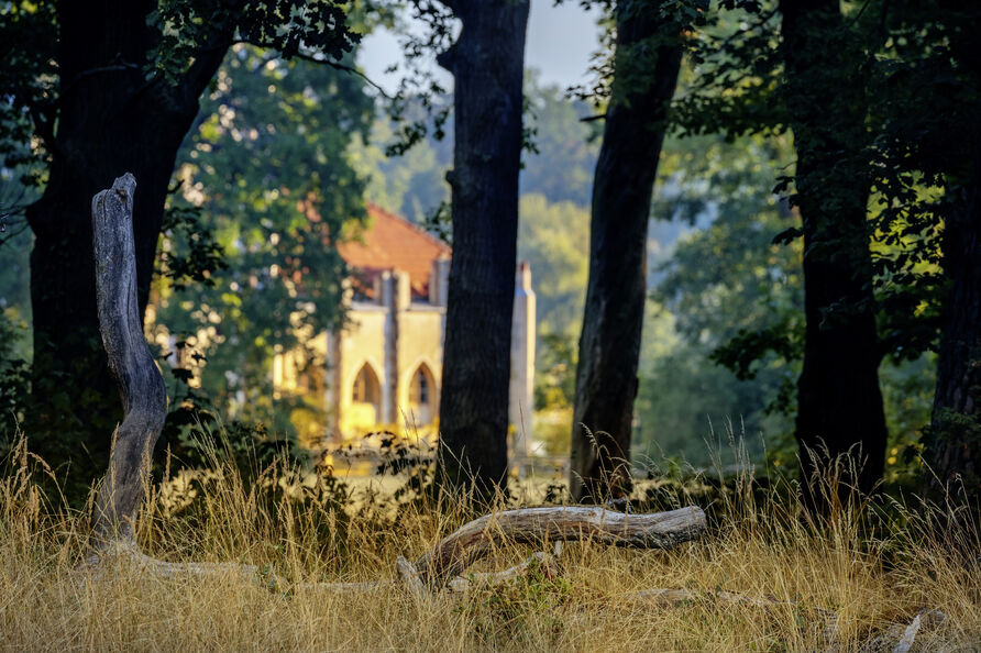Die Meierei auf der Pfaueninsel ist unscharf im Hintergrund zwischen Bäumen auszumachen