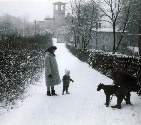 Winterspaziergang am Pfingstberg