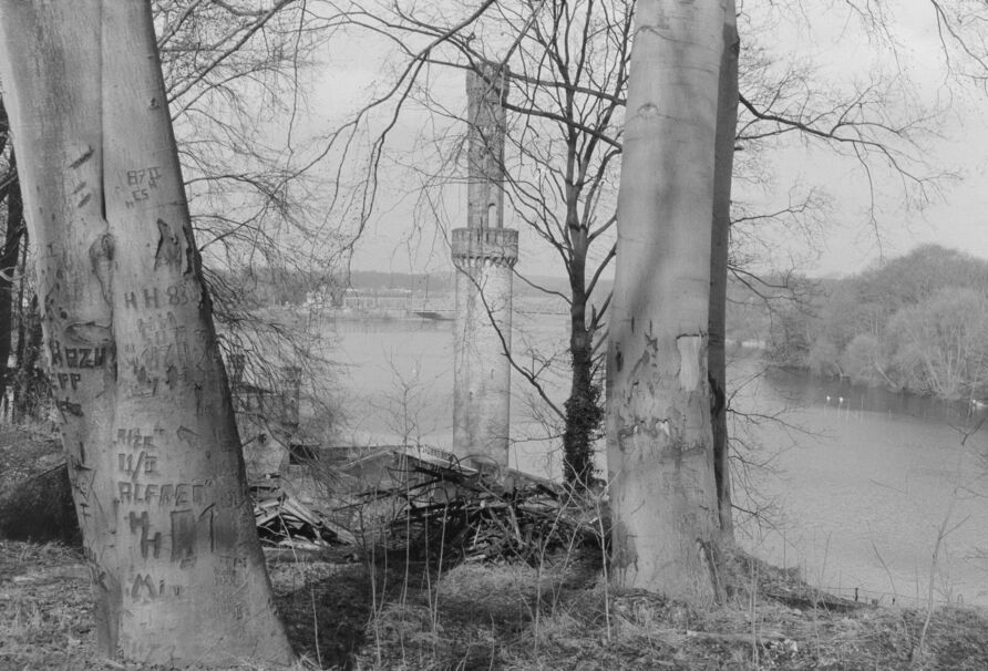 Buchen mit Einritzungen oberhalb des Uferwegs im Park Babelsberg, 1989, im Hintergrund Maschinenhaus und Glienoicker Brücke