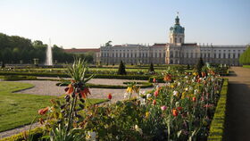 Tulpen, Goldlack, Kaiserkronen – Frühling im Schlossgarten Charlottenburg