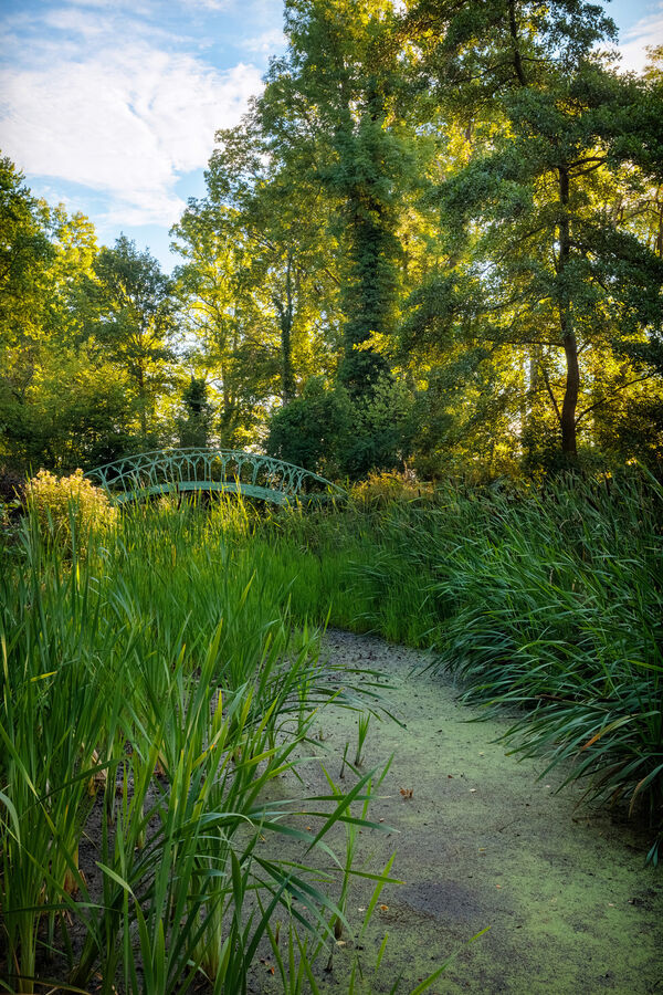 Auf der Pfaueninsel