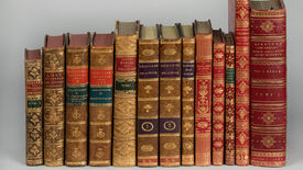 Die Prinzessinnenbibliothek