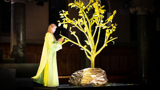 Potsdamer Winteroper