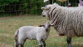Familiennachmittag rund um das Jagdschloss Stern