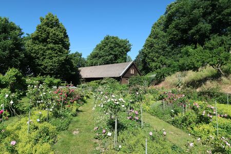 Ergänzungsrosengarten auf der Pfaueninsel