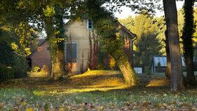 Heinrichs Kübelpflanzen