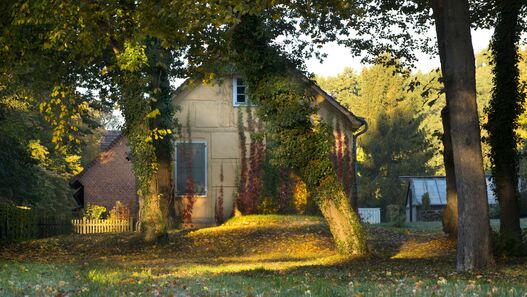 Lustgarten Rheinsberg, Hofgärtnerhaus in der Parkgärtnerei, östlicher Giebel