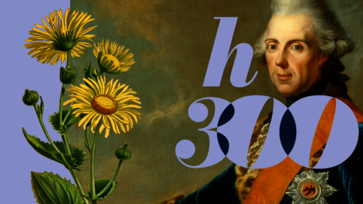 h300 – visual für das 3. Gartenfest Rheinsberg