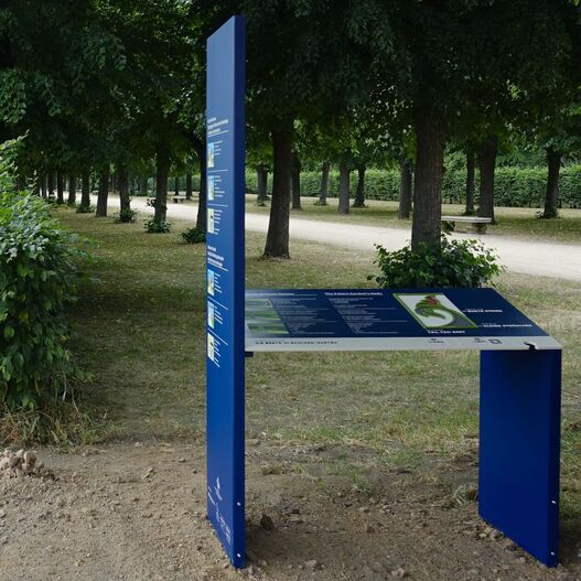 Modul B –  Die Beete im Schlossgarten