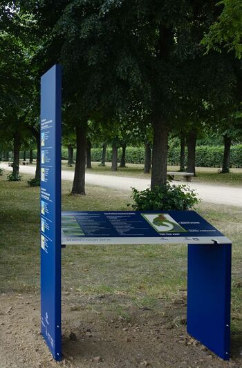 Modul B –  Die Beete im Schlossgarten