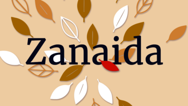 Potsdamer Winteroper