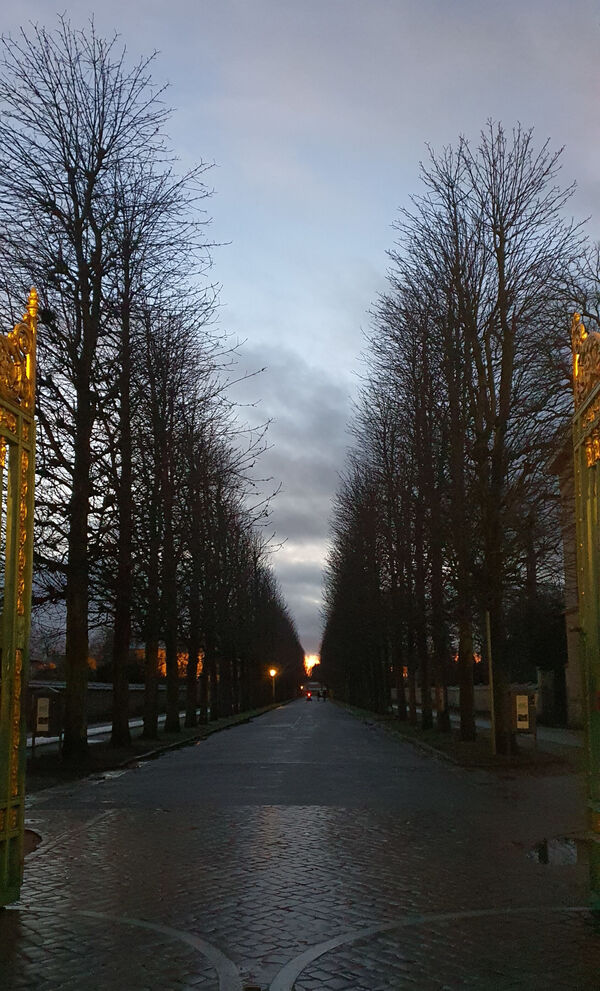 Park Sanssouci am Grünen Gitter