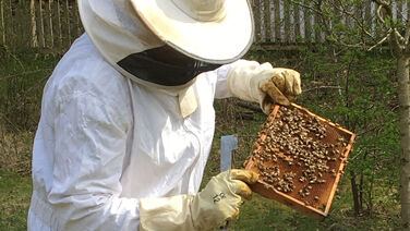 Weltbienentag im Jagdschloss Grunewald