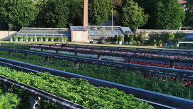 Regenwasser und Kompost sind Power für unsere Böden: Beispielhaftes zur Kreislaufwirtschaft und Klimaanpassung im Garten