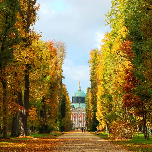 #ParkIsArt – Hauptallee im Park Sanssouci im Herbst: Blick auf das Neue Palais