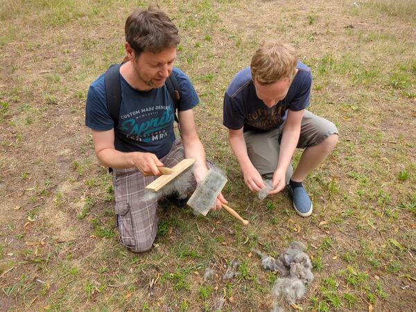 Woll-Workshop an der Schafswiese im Schlossgarten Charlottenburg