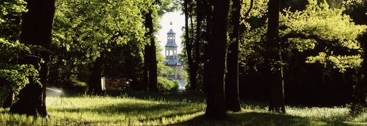Park Sanssouci, Drachenhaus, Blick durch hohe Bäume