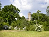 Blick über den grünen Park auf den Flatowturm im Park Babelsberg Potsdam