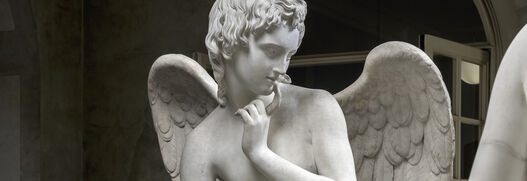 Ridolfo Schadow, Amor