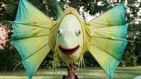 Die Drachen des Meeres 