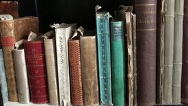 Die Bibliothek der Königin Luise