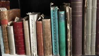 Die Bibliothek der Königin Luise