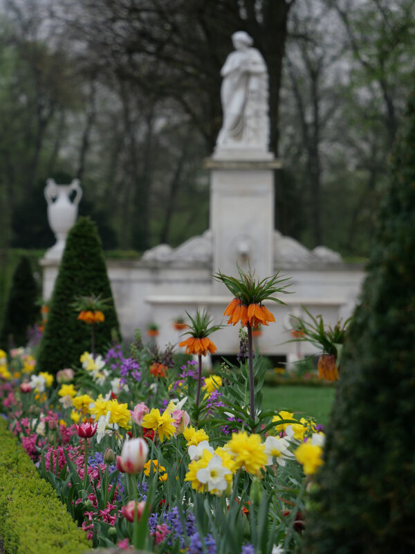 Frühling im Park Sanssouci