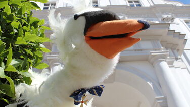 Schwan Heinrich und sein Prinz Friedrich