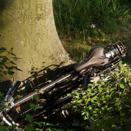 Neuer Garten im Sommer, Fahrräder im Gebüsch