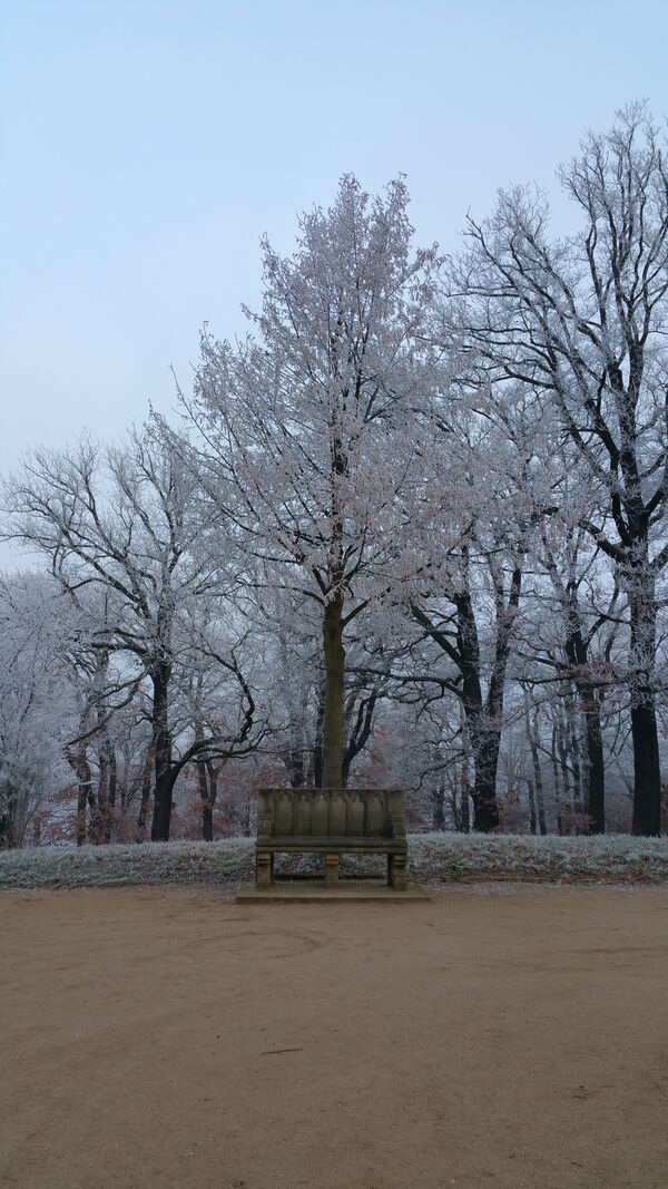 Steinbank im Park Babelsberg
