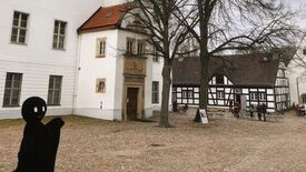 Waldemar und das Schloss im Wald 