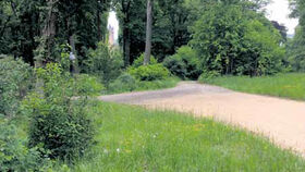 Eine Eiche zur Hochzeit