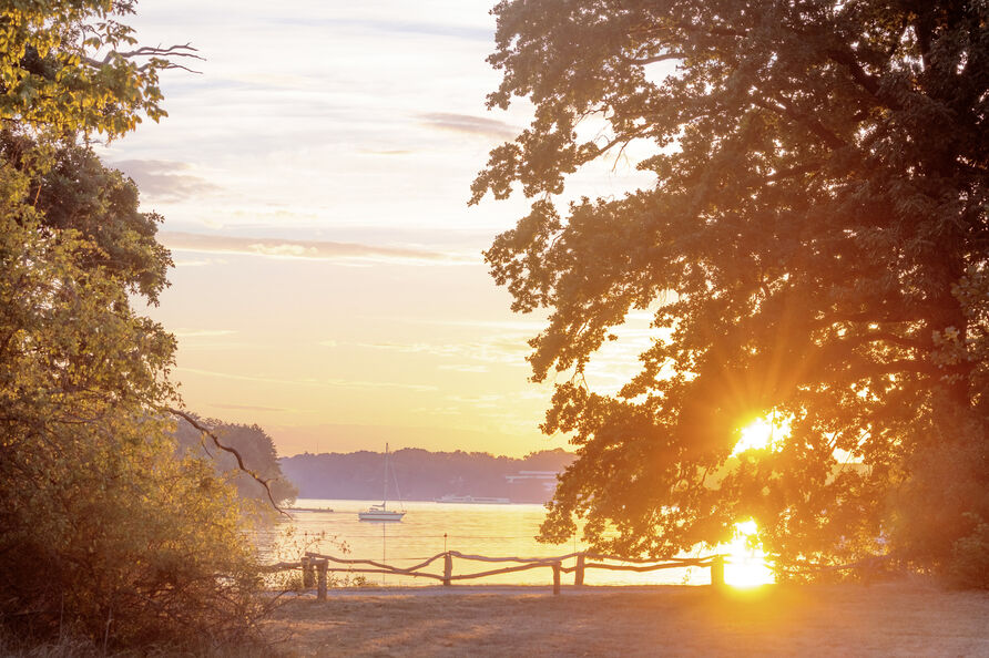 Sonnenuntergang auf der Pfaueninsel