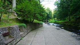 Walter Rossow (1910–1992) Leben und Werk