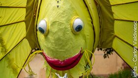 Die Drachen des Meeres 
