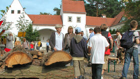 KunstStoff Holz