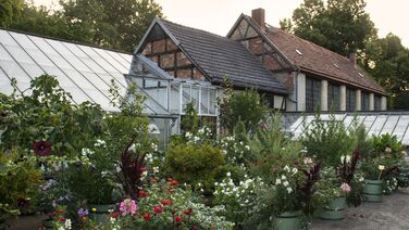 Durch Schloss und Garten im Sommer: Bananen in Rheinsberg? Die Orangerie- und Gewächshauskultur des Prinzen Heinrich