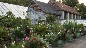 Durch Schloss und Garten im Sommer: Bananen in Rheinsberg? Die Orangerie- und Gewächshauskultur des Prinzen Heinrich