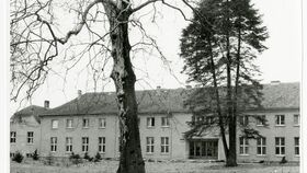 Es waren wilde Zeiten!