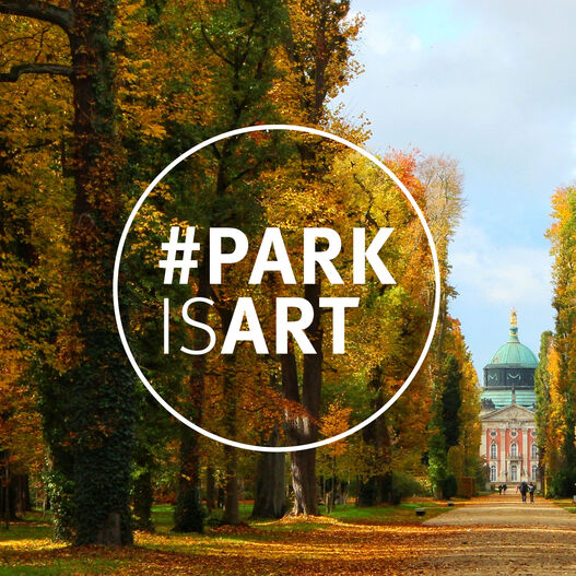 #ParkIsArt – Hauptallee im Park Sanssouci im Herbst